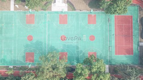 Basketball court: mga larawan, mga sukat at mga .